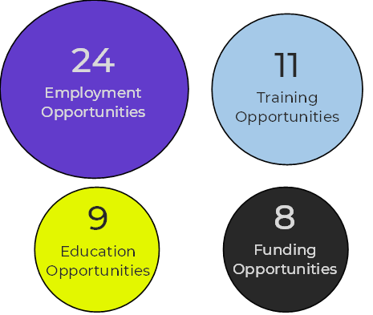 Differently-sized circles that show how many opportunities NextGen have accessed