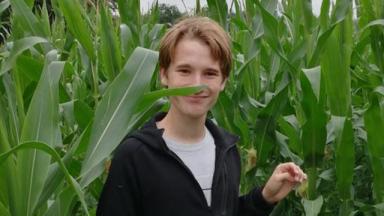 young person standing in a field of tall green leafy plants